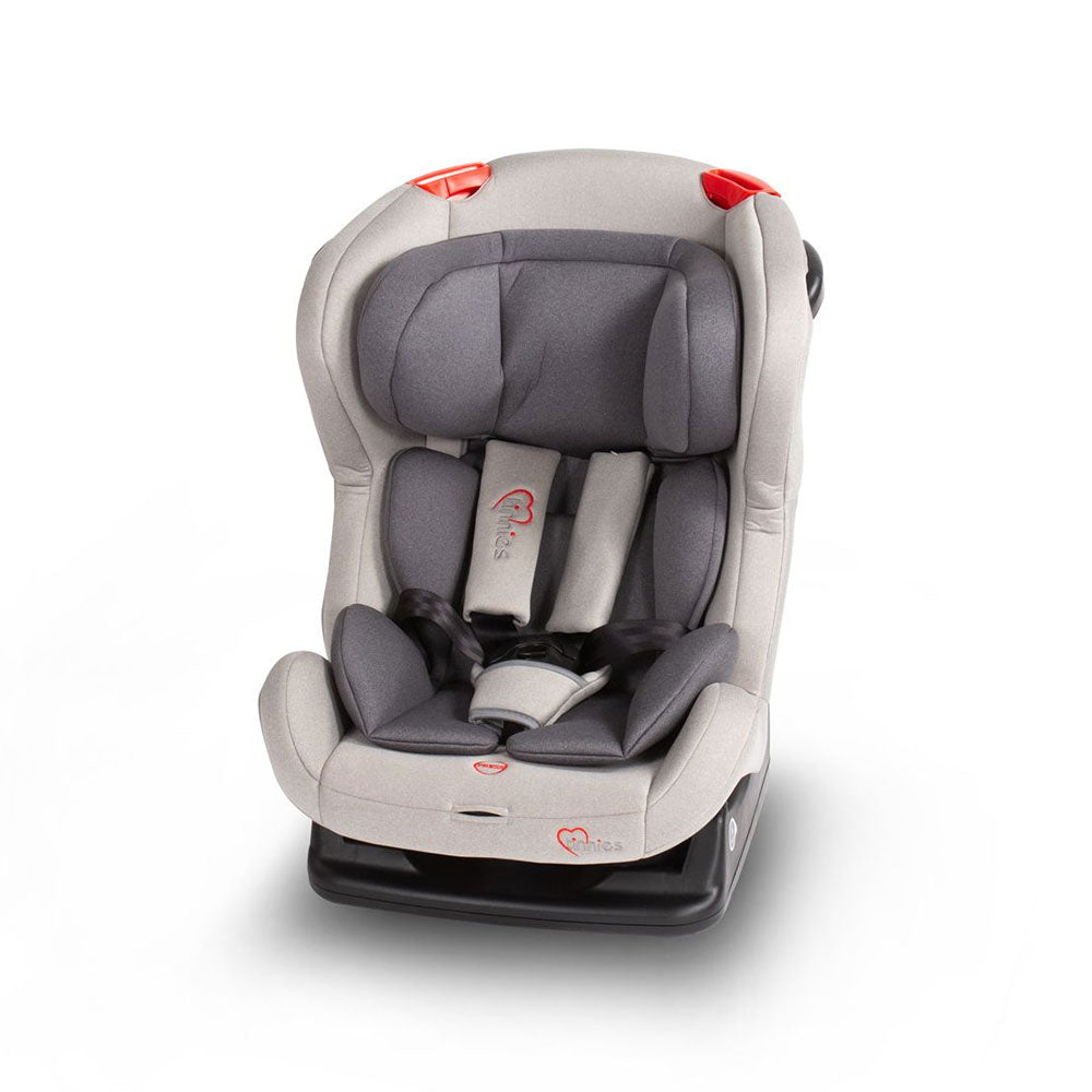 Baby Car Seat - Grey